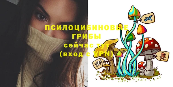 мескалин Пестово