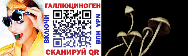 Псилоцибиновые грибы Psilocybe  MEGA ссылка  Ардон 